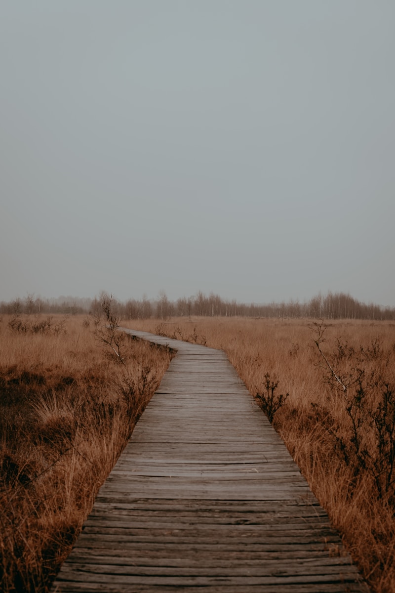 Ontdek Haaksbergen: 10 Bezienswaardigheden die Je Niet Wilt Missen! 🌳✨