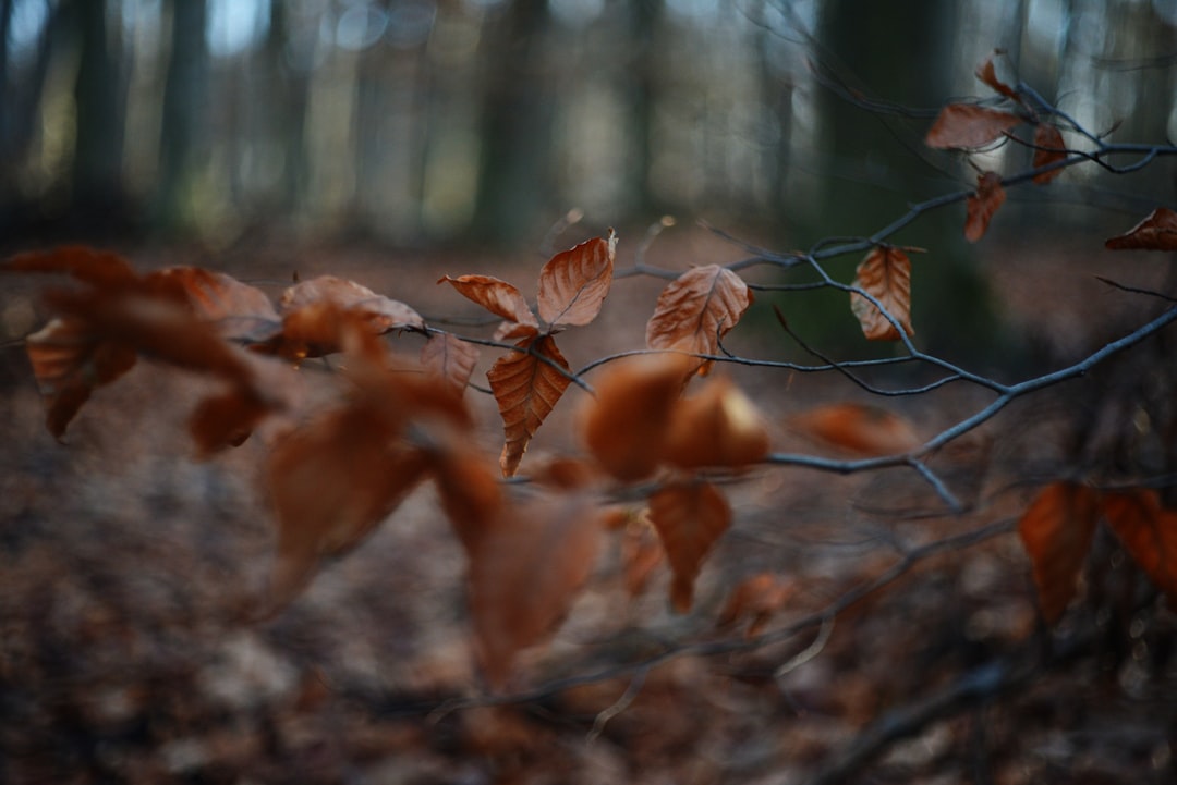 Zo plan je een rustige en betaalbare herfsttrip in eigen land