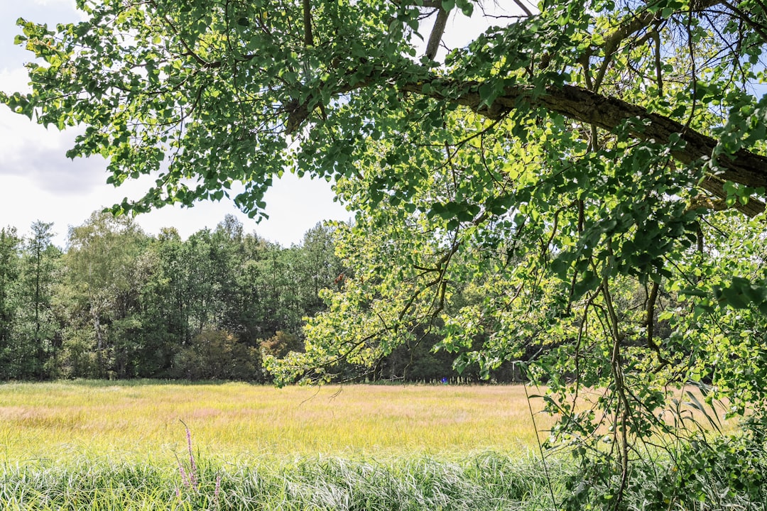 Rustig en betaalbaar op pad: zo plan je een nazomeruitje in Twente